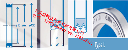 GMNL75X90X10油封圖紙